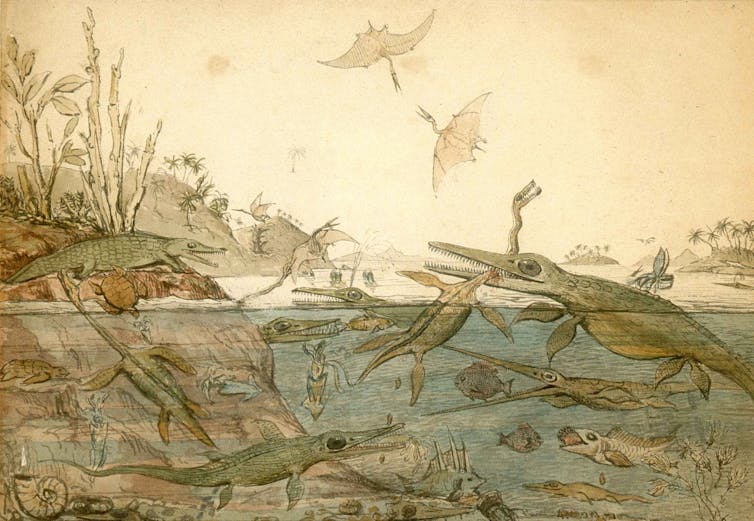 Watercolour painting of ancient marine reptiles, fish, ammonites, belemnites, and other prehistoric creatures in the ocean, with pterosaurs flying overhead.