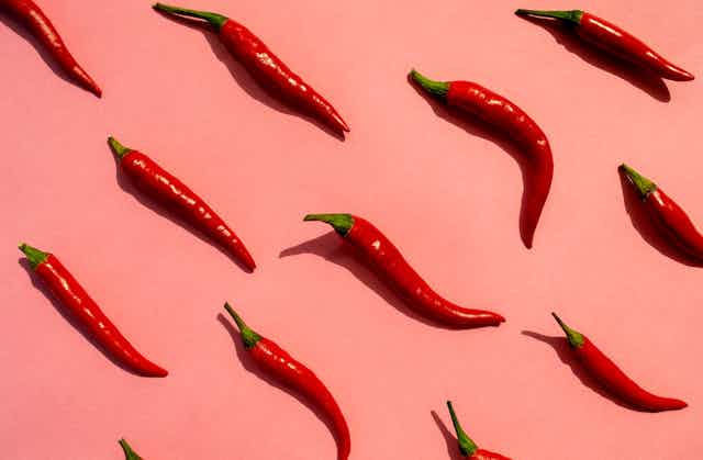 Red chili peppers arranged on a pink background.