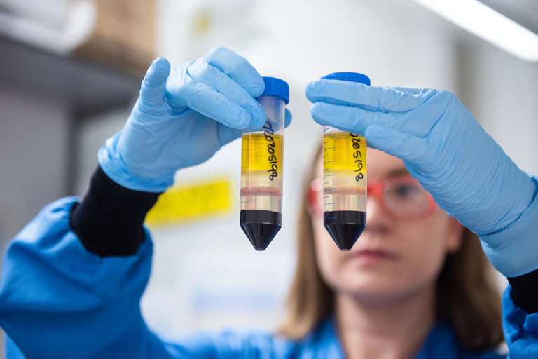 A female scientist comparing vials of blood in a lab