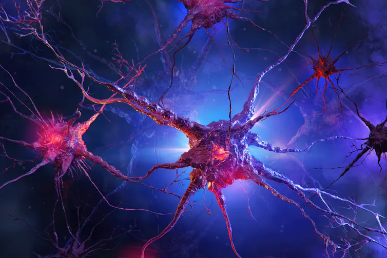 illustration of neurons