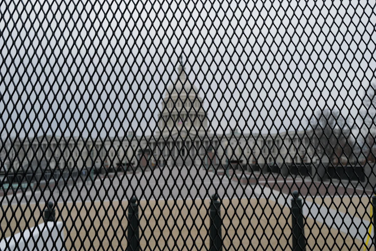 El edificio del Capitolio de los Estados Unidos se adivina tras una reja tupida.