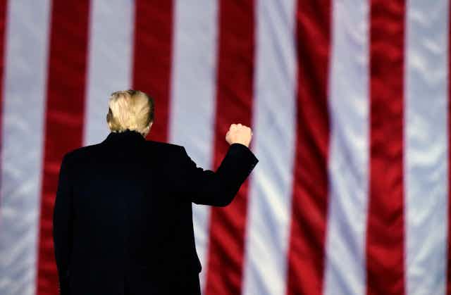 Donald Trump is seen facing away from the camera toward an American flag with his right arm raised in a fist.