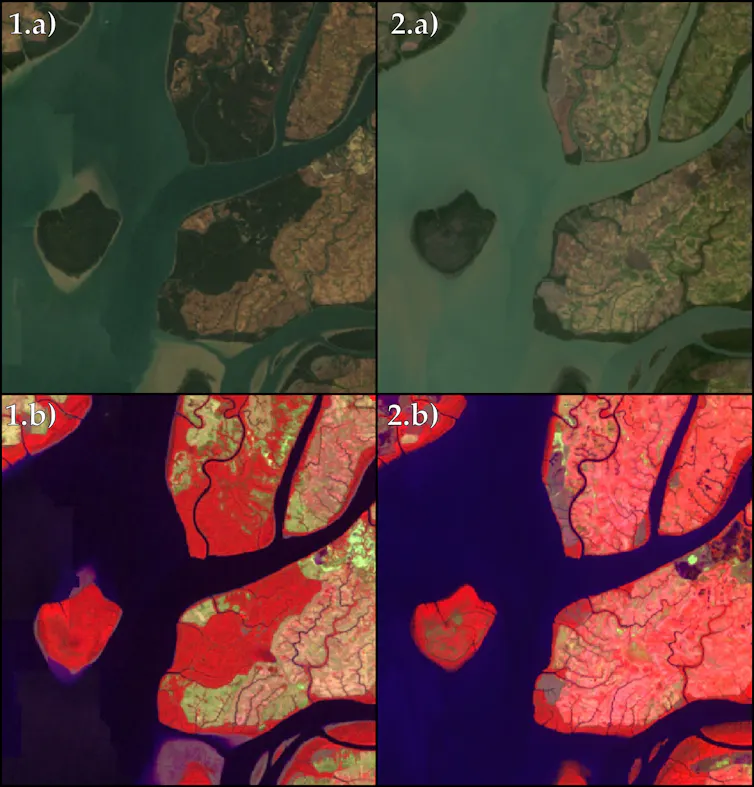 Satellite images showing mangrove deforestation.