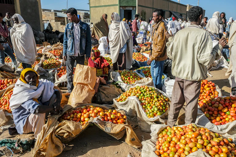 Men selling tomatoes at a market