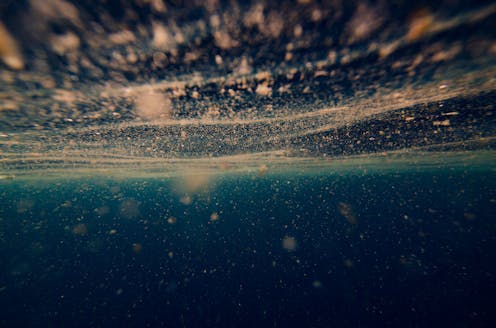 Marine viruses: the tiny microbe killers that orchestrate life in the ocean 15 file 20210114 16 1jnpyja.jpg?ixlib=rb 1.1