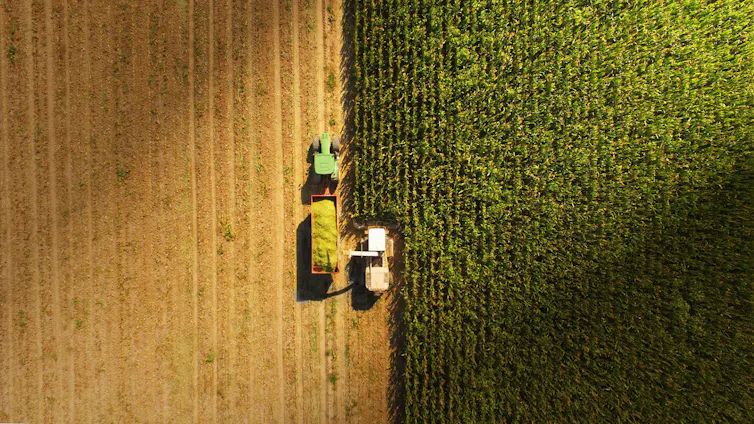 A tractor with wagon harvesting crops viewed from above
