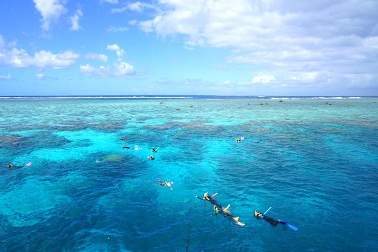 Snorkelers in Coral Bay