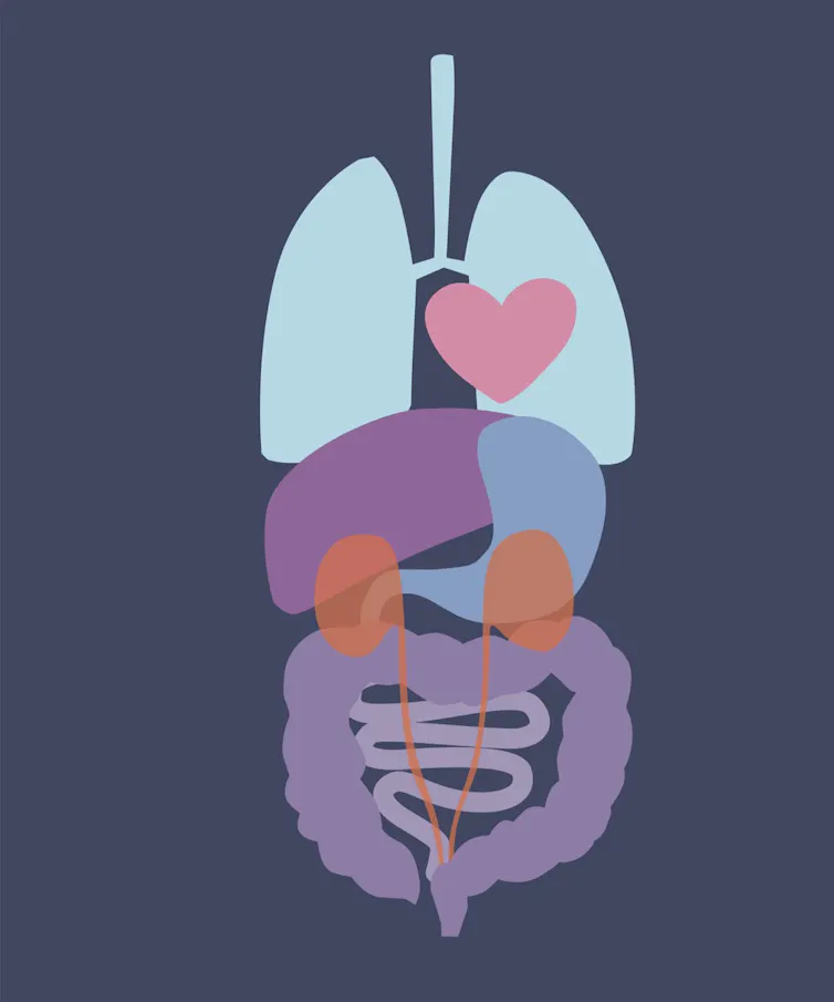 Opt out Organ Donation Is Nova Scotia s New deemed Consent Law Ethical Opt out Organ Donation Is Nova Scotia s New deemed Consent Law Ethical