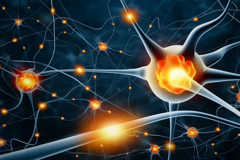 Artistic representation of healthy brain neurons.