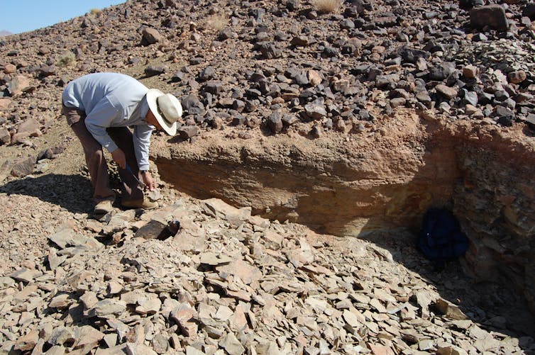 The Fezouata Formations.