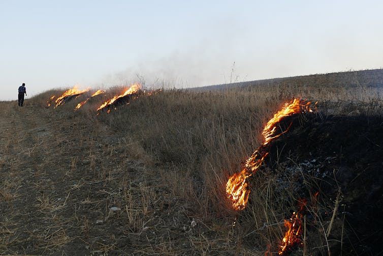 A man attends fires burning slowly across a small hill in a vast field.