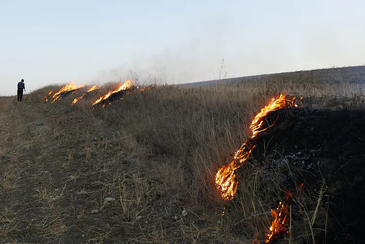 A man attends fires burning slowly across a small hill in a vast field.