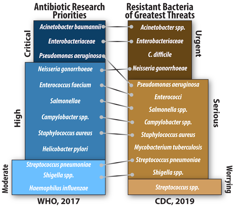 Threats and prorities, antibiotic resistant bacteria