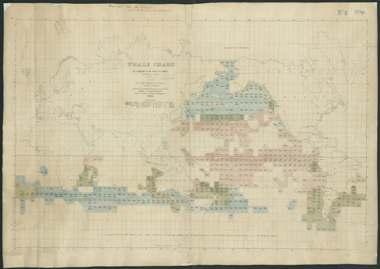 Map of Pacific Ocean showing the annual distribution of whales