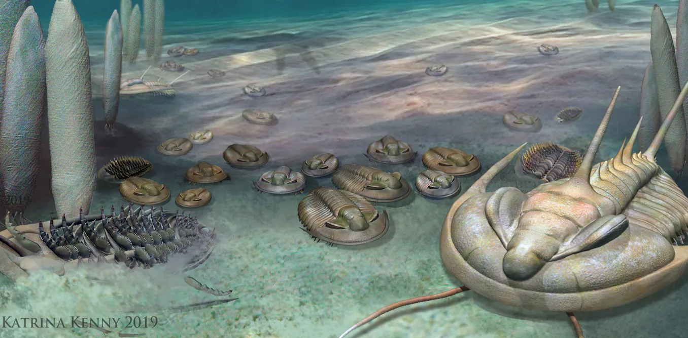 Ancient marvels: the first shell-crushing predators ground up their ...