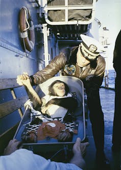 Apes, robots and men: the life and death of the first space chimp