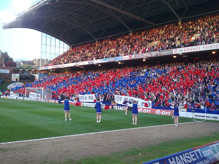 Crystal Palace fans at a match.