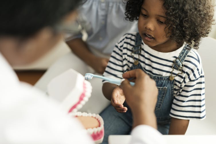 A dentist shows a young child how to brush teeth using a model of teeth.