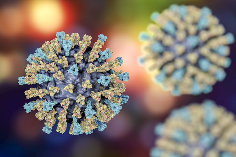 Measles virus illustration showing surface spikes