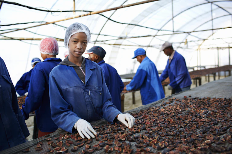 A lady in blue overall with white gloves, working on a farm with some others at her background. They are all wearing blue overall.