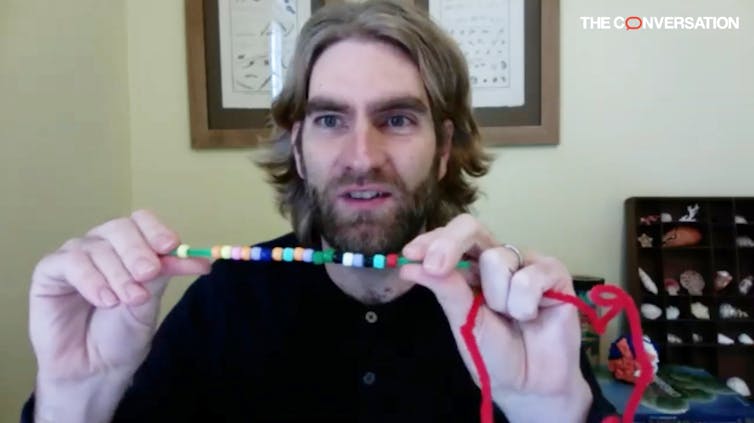 The mRNA for the spike protein, shown as the red strand, contains instructions for the formation of the spike protein. The colored beads of the bracelet represent the individual amino acids that make up the spike protein, which fold up into a spike