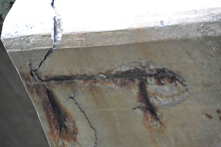 Degraded concrete and exposed rebar on a bridge