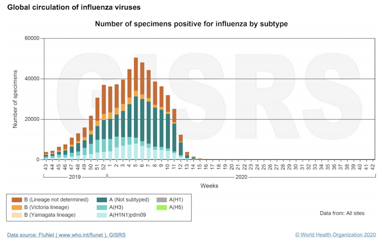¿Cómo es posible que la gripe haya casi desaparecido pero el coronavirus siga extendiéndose? 1 who / FluNet