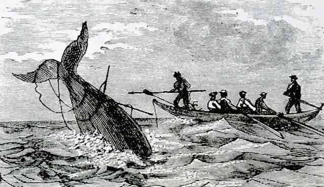 engraving of whaling