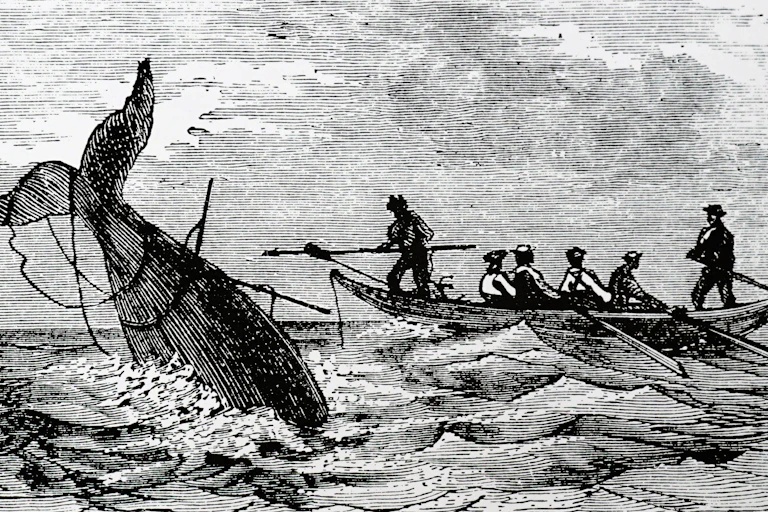 engraving of whaling