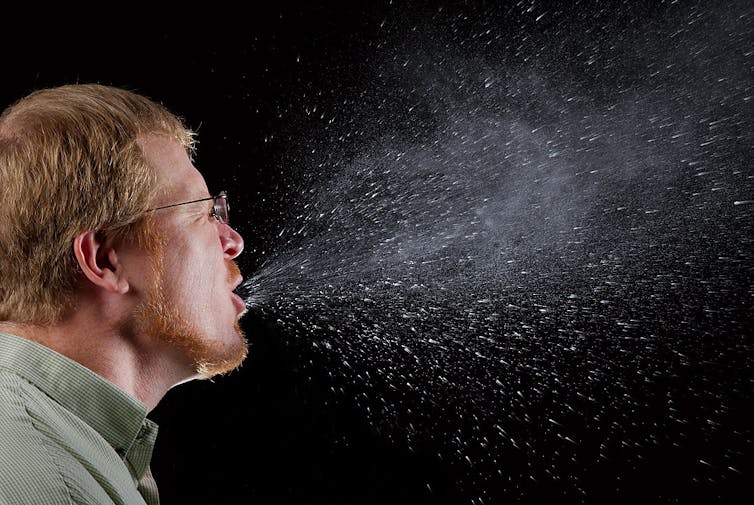¿Cómo es posible que la gripe haya casi desaparecido pero el coronavirus siga extendiéndose? 4 Wikipedia