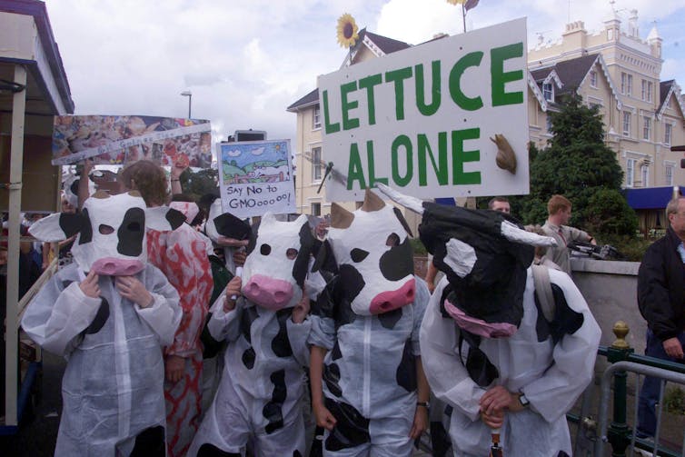 People in cow suits hold sign saying 'lettuce alone'