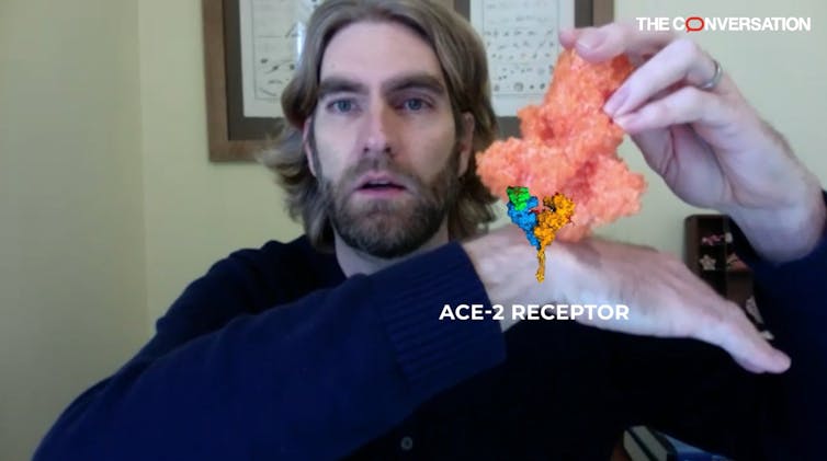 The scholar uses a 3D printed model of a spike protein and to explain how it targets the ACE-2 receptor. An artist has added a digital illustration of the ACE-2 receptor on his hand to illustrate the process clearly.