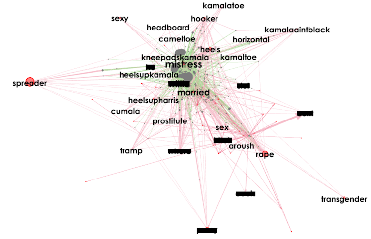 A network of words connected by lines. The words are abusive and sexualised and reference Kamala Harris