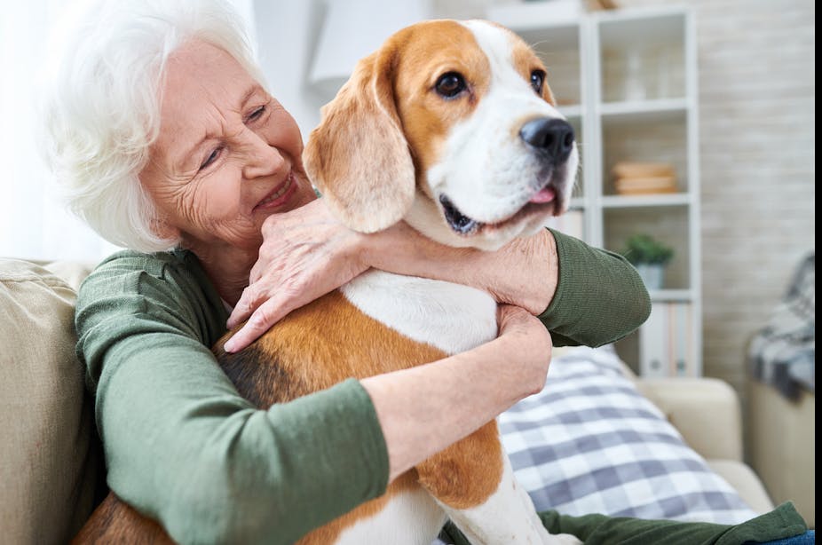 Elderly woman hugging her beagle dog.