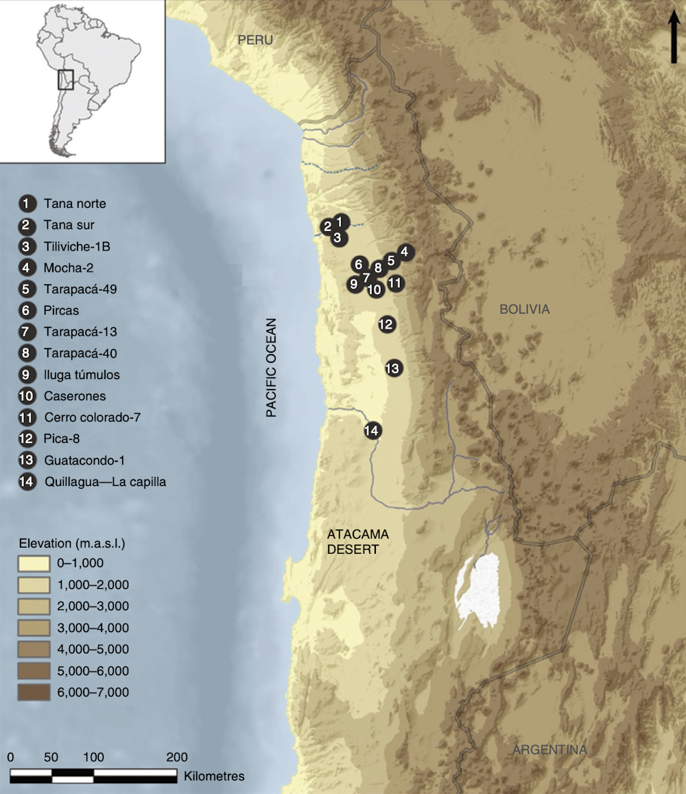 How a pre Incan civilisation thrived in the Atacama Desert thanks