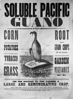 Old advert for 'soluble pacific guano'