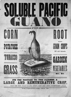 Old advert for 'soluble pacific guano'