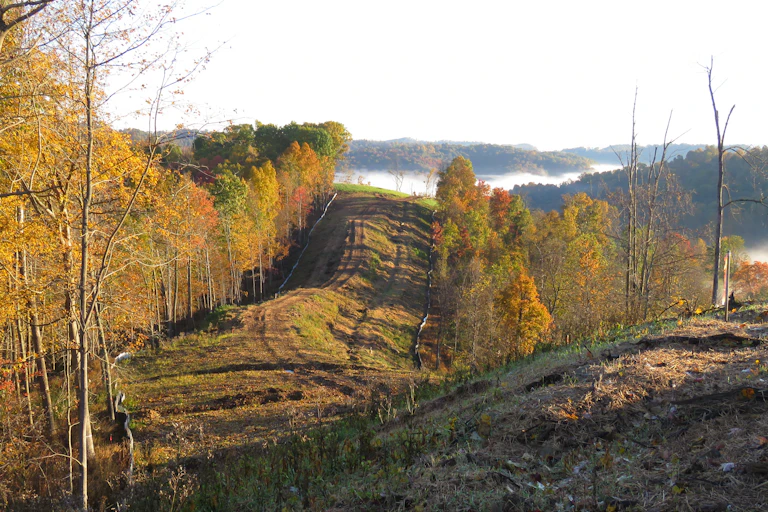 A pipeline route through forest