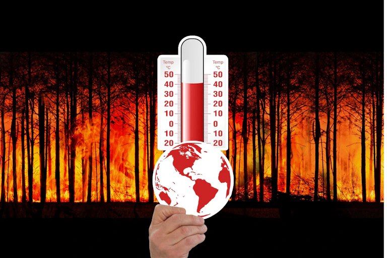 Tangan memegang globe dan termometer dengan latar belakan gambar hutan terbakar.