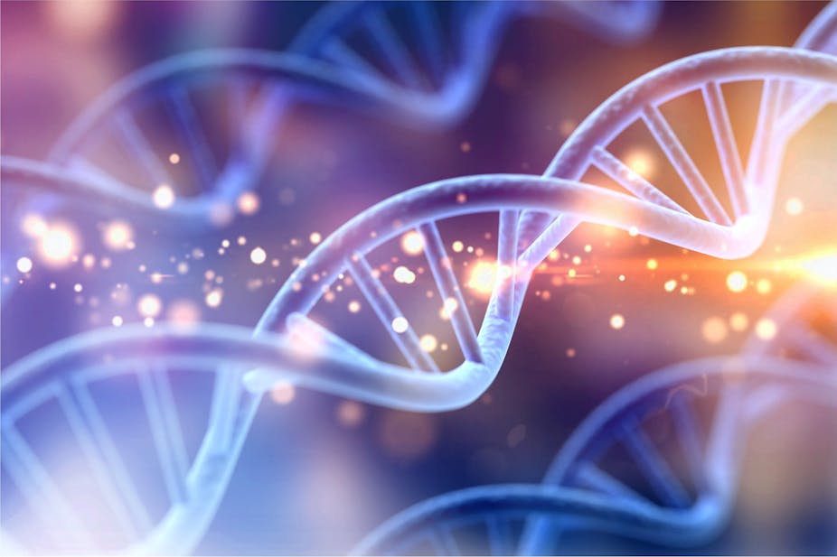 An illustration of DNA strands