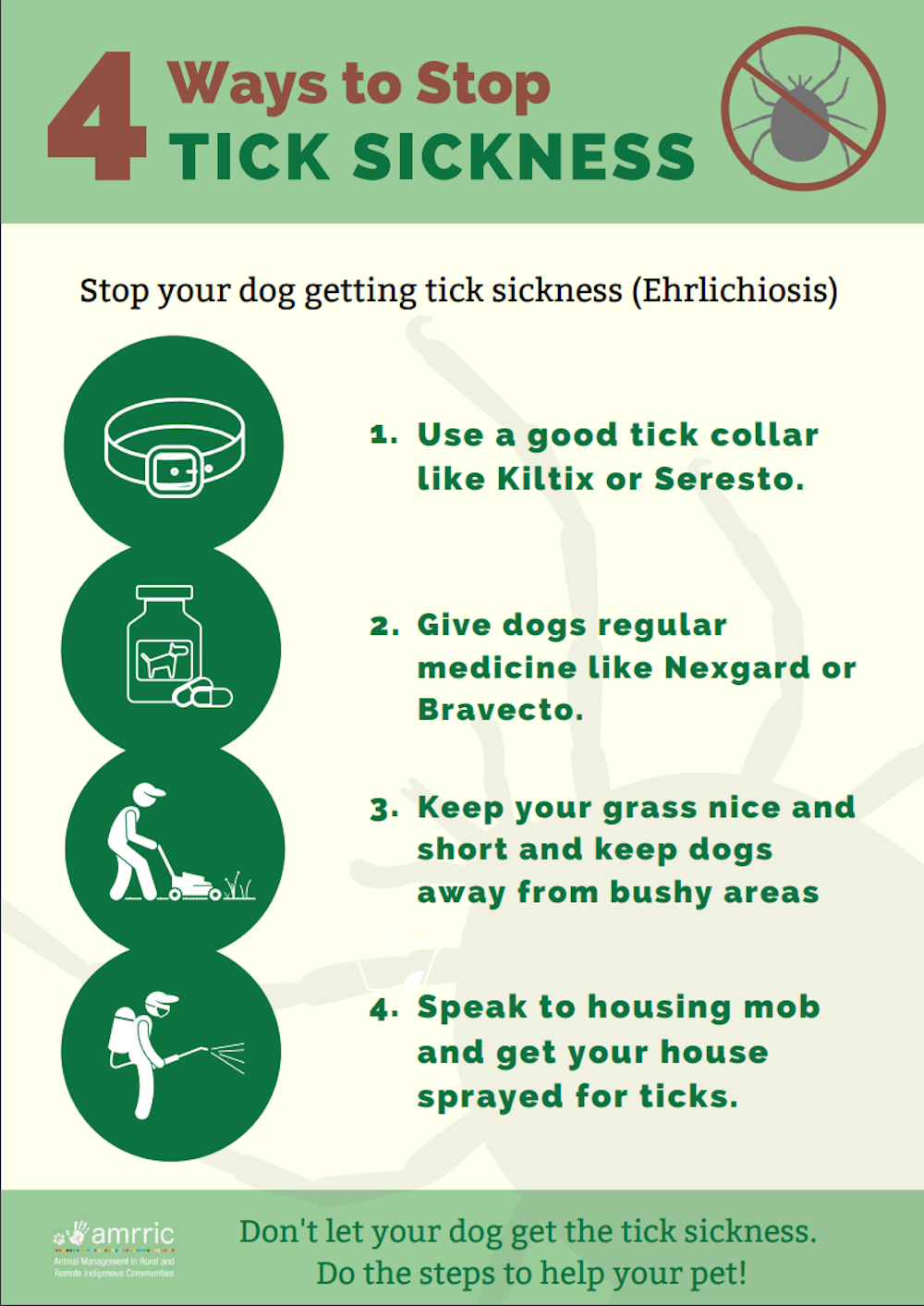 Dog Flu Outbreak 2025