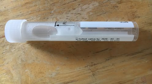 Covid-19: ¿qué son los test de saliva y por lotes, y cuáles son sus ventajas? 7 file 20210127 21 1qaxpba.jpg?ixlib=rb 1.1