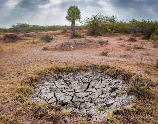 Patch of cracked earth surrounded by brown dry landscape.