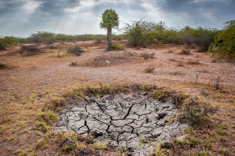 Patch of cracked earth surrounded by brown dry landscape.