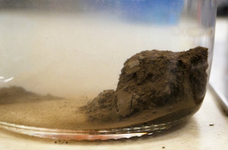 A beaker containing a sample of permafrost.