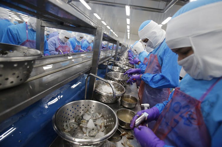 Workers peeling shrimp at a factory in Thailand.