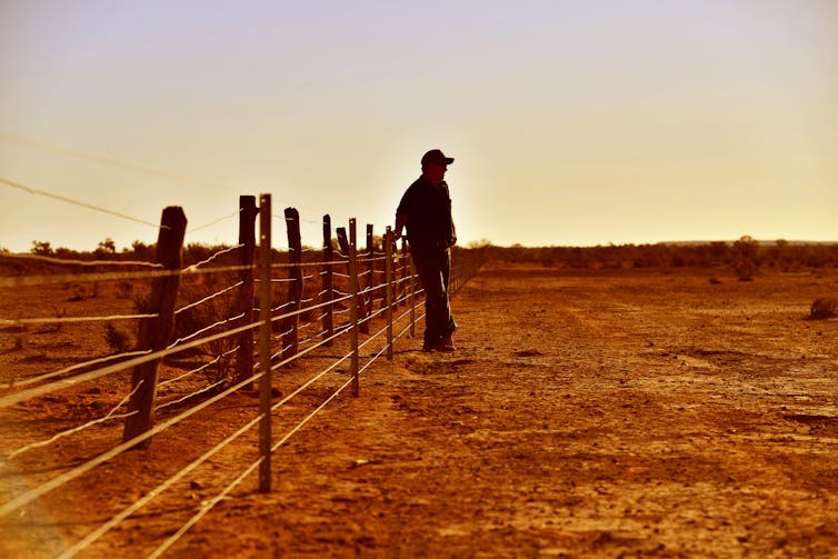 A farmer leans on a fence at sunset and looks out to dry brown land.