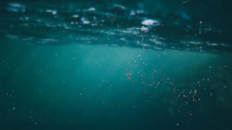 Los antibióticos también viajan por el agua adheridos a microplásticos Los antibióticos también viajan por el agua adheridos a microplásticos