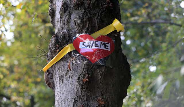 Tree with 'save me' sign 