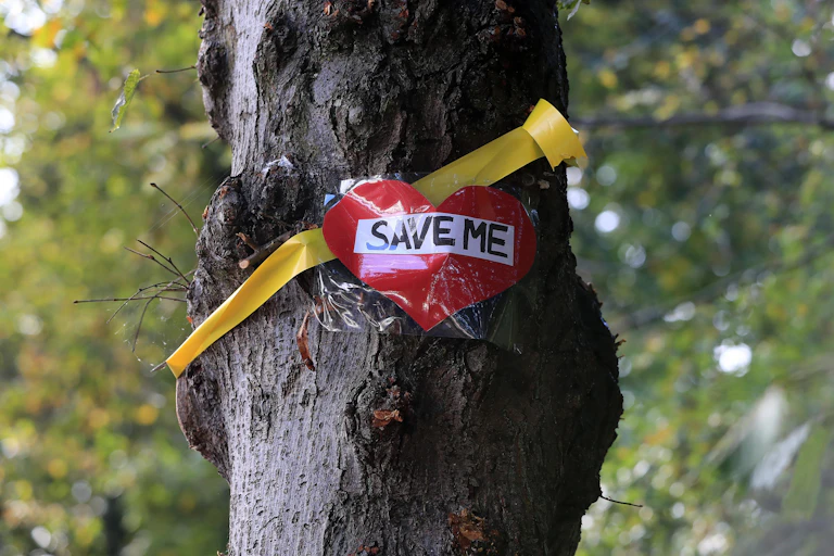 Tree with 'save me' sign